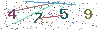 web code