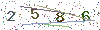 web code