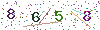 web code