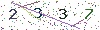 web code