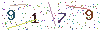 web code