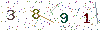 web code