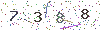 web code