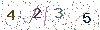 web code