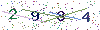 web code