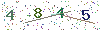 web code