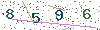 web code