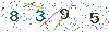 web code