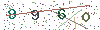 web code