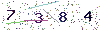 web code