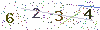 web code