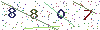 web code