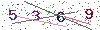 web code