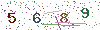 web code