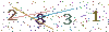web code