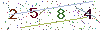 web code