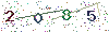 web code