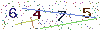 web code
