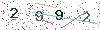 web code