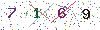 web code