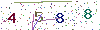 web code