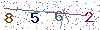 web code