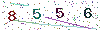 web code