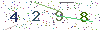 web code