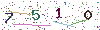 web code