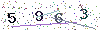 web code