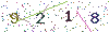 web code