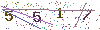 web code