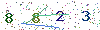web code