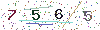 web code