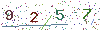 web code