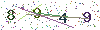 web code