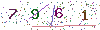 web code