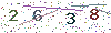 web code