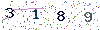 web code