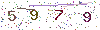 web code