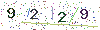 web code