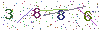 web code