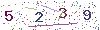 web code