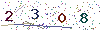 web code