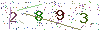 web code