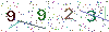 web code