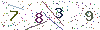 web code