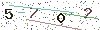web code