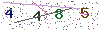 web code