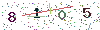 web code